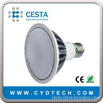 9W LED PAR30 Bulb